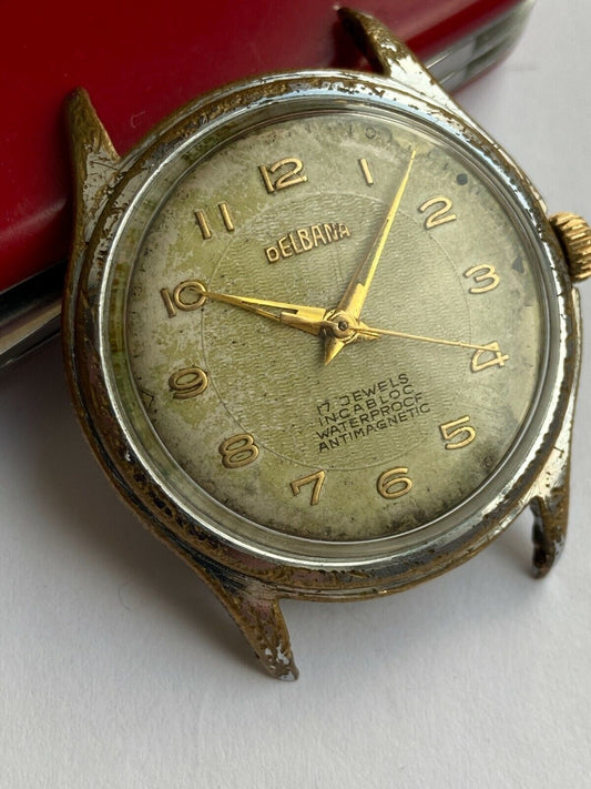DELBANA 467.509LS