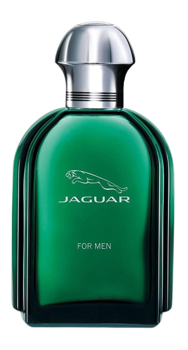 JAGUAR FOR MEN EDT 100ML