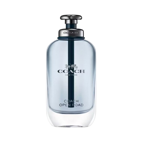 COACH OPEN ROAD EDT 100ML