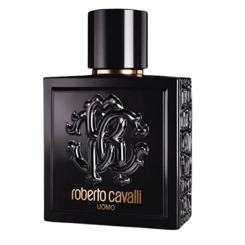 ROBERTO CAVALLI UOMO EDT 100ML