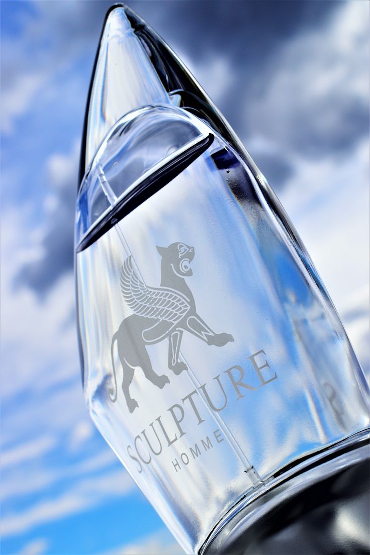 SCULPTURE HOMME EDT 100ML