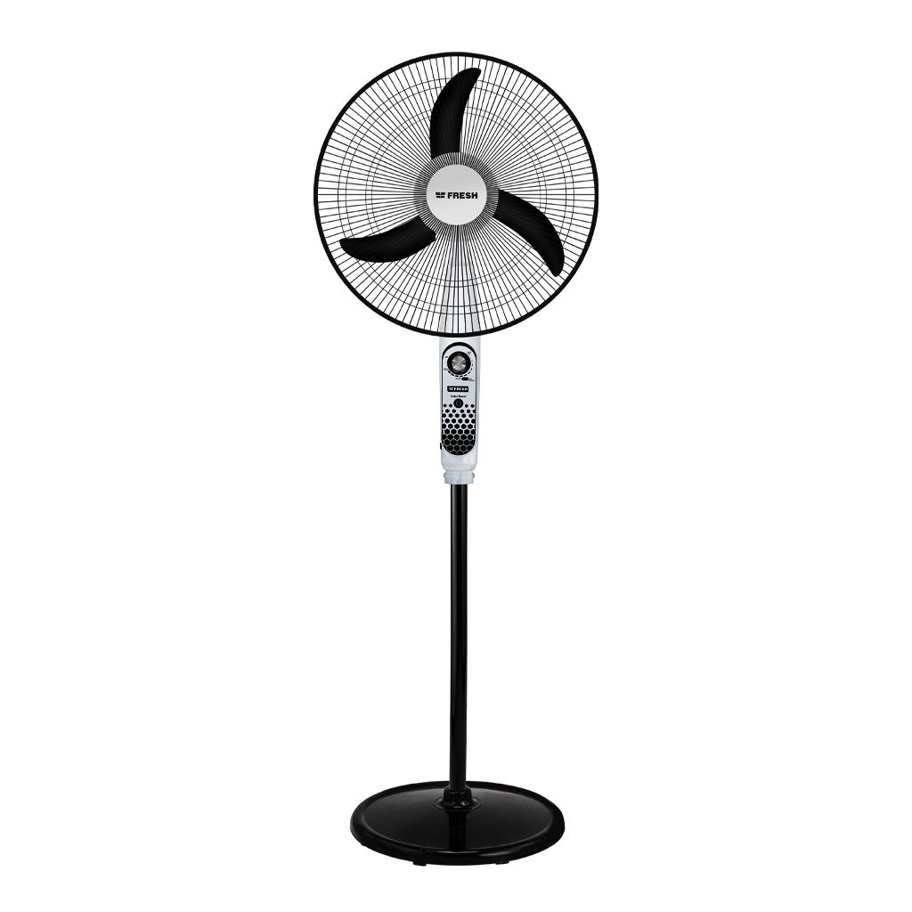 FRESH FAN -SPBD18