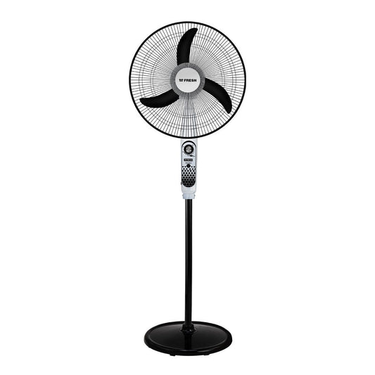 FRESH FAN -SPBD18