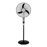 FRESH FAN -SPBD18