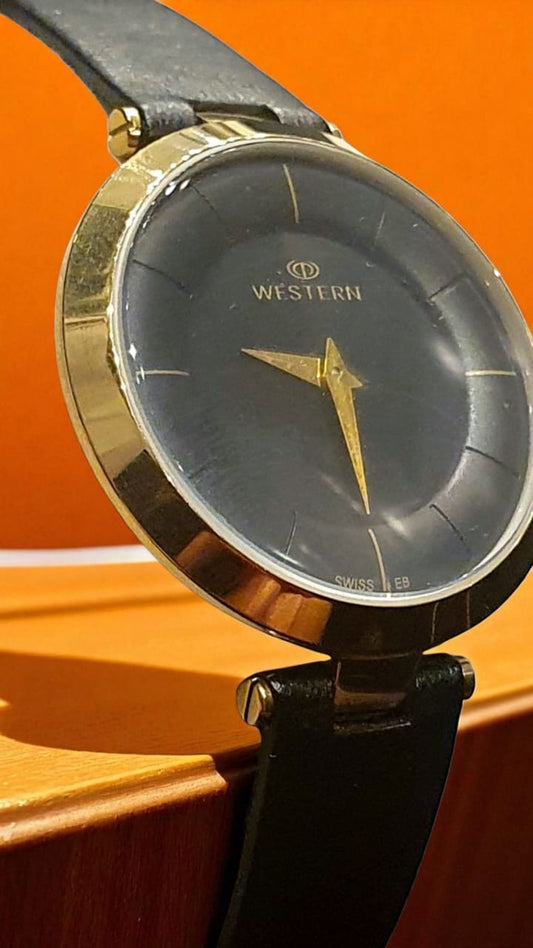 WESTERN W8137LGP170C
